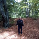 ���������� �������, ���� ������� ��������, 71 ���, ������������ 