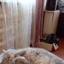  ,   , 53 ,   ,   , c 