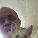 ���������� ��������, ���� ������� �������, 49 ���, ������������ ��� ������, ����� � ���������