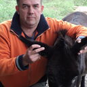 ���������� �����, ���� ������� ������, 58 ���, ������������ ��� ������