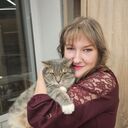 ���������� �������, ���� ������� �������, 51 ���, ������������ ��� ����� � ���������, c�������� ���������