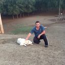 ���������� ���������, ���� ������� ����, 46 ���, ������������ ��� ������, ����� � ���������, c�������� ���������