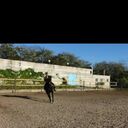 ���������� ������ ���, ���� ������� ���������, 49 ���, ������������ ��� ����� � ���������, c�������� ���������