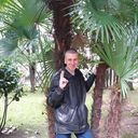  ,   , 43 ,   ,   