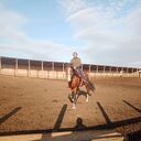 ���������� ������, ���� ������� �����, 31 ���, ������������ ��� ������, ����� � ���������