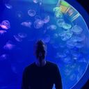 ���������� �����-���������, ���� ������� ������, 26 ���, ������������ ��� ������, ����� � ���������