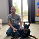 ���������� ������-��-����, ���� ������� ����, 36 ���, ������������ ��� ������, ����� � ���������, c�������� ���������, ���������