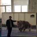 ���������� �����-���������, ���� ������� ������, 33 ����, ������������ ��� ������, ����� � ���������, c�������� ���������, ���������