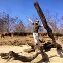 ���������� ���������, ���� ������� �����, 36 ���, ������������ ��� ������, ����� � ���������, c�������� ���������