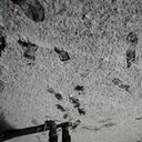 ���������� �����, ���� ������� ��������, 42 ����, ������������ ��� ������, ����� � ���������, c�������� ���������, ���������