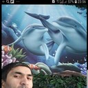  ,   , 41 ,     , c , 