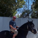  ,   Fidanza, 38 ,   ,   , c , 