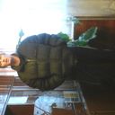  -,   Vlad, 53 ,   , 
