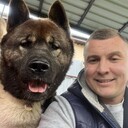 ���������� �����������, ���� ������� ����������, 38 ���, ������������ ��� ������, ����� � ���������, c�������� ���������, ���������