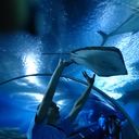 ���������� �����, ���� ������� ����, 39 ���, ������������ ��� ������