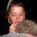 ���������� ����, ���� ������� ����, 38 ���, ������������ 