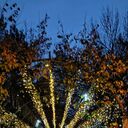 ���������� �����������, ���� ������� ��������, 46 ���, ������������ ��� ������, ����� � ���������