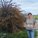  ,   , 65 ,   c 