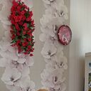 ���������� ������, ���� ������� ��������, 50 ���, ������������ ��� ������, ����� � ���������