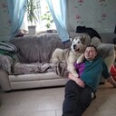  ,   , 37 ,   ,   , c 