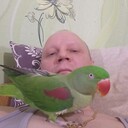 ���������� ����, ���� ������� ������, 48 ���, ������������ ��� c�������� ���������