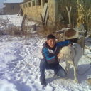 ���������� ������, ���� ������� 0705838695, 31 ���, ������������ ��� ����� � ���������, c�������� ���������, ���������