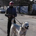 ���������� �����-���������, ���� ������� Giorgi, 34 ����, ������������ ��� ������, ����� � ���������, c�������� ���������