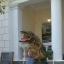 ���������� ���������, ���� ������� �����, 45 ���, ������������ ��� ������, ����� � ���������, c�������� ���������