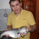  ,   , 36 ,   
