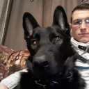 ���������� ������������, ���� ������� �������, 42 ����, ������������ ��� ������, ����� � ���������