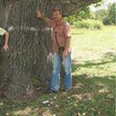 ���������� ���������, ���� ������� ���������, 60 ���, ������������ ��� ������