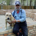  ,   Art, 58 ,   