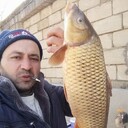 ���������� ����, ���� ������� ����, 38 ���, ������������ ��� c�������� ���������