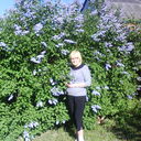  --,   , 74 ,   ,   , c 