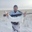 ���������� �����, ���� ������� ���������, 39 ���, ������������ ��� ������, ����� � ���������