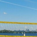 ���������� ����, ���� ������� Wild Bear, 45 ���, ������������ ��� ������, ����� � ���������