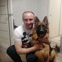 ���������� ����, ���� ������� �������, 43 ����, ������������ ��� ������, ����� � ���������, c�������� ���������, ���������