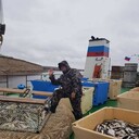 ���������� �������������-����������, ���� ������� �������, 40 ���, ������������ ��� ������, ����� � ���������, c�������� ���������, ���������