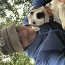 ���������� ���������� �����, ���� ������� ���, 49 ���, ������������ ��� ������, ����� � ���������, c�������� ���������, ���������