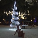  -,   , 39 ,   ,   , c 