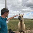 ���������� ������, ���� ������� ���������, 45 ���, ������������ ��� ������, ����� � ���������, c�������� ���������, ���������