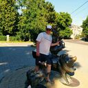 ���������� ��������, ���� ������� ���������, 37 ���, ������������ ��� ������, ���������