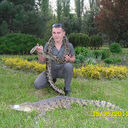 ���������� �������, ���� ������� Wowelu, 38 ���, ������������ ��� ������