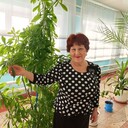 ���������� �����������, ���� ������� ����, 67 ���, ������������ ��� ����� � ���������, c�������� ���������