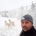 ���������� ������, ���� ������� ����, 41 ���, ������������ ��� ������, ����� � ���������