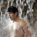 ���������� �������, ���� ������� David, 36 ���, ������������ 