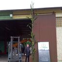  ,   Grzegorz, 55 ,   ,   , c 