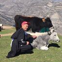 ���������� ������, ���� ������� �������, 54 ����, ������������ ��� ������, ����� � ���������, c�������� ���������