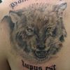  ,   Fikret, 46 ,   ,   , c 
