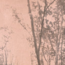  -,   Abdulla, 33 ,     , c , 